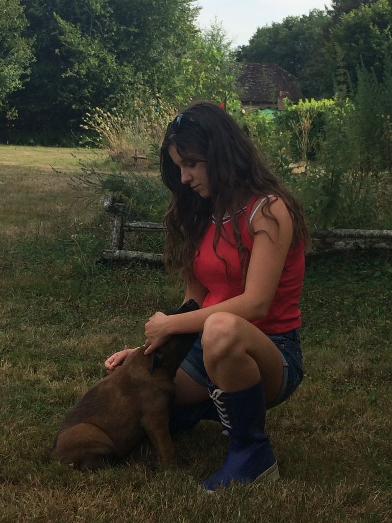 du clan d'alvi - chiots 2 mois