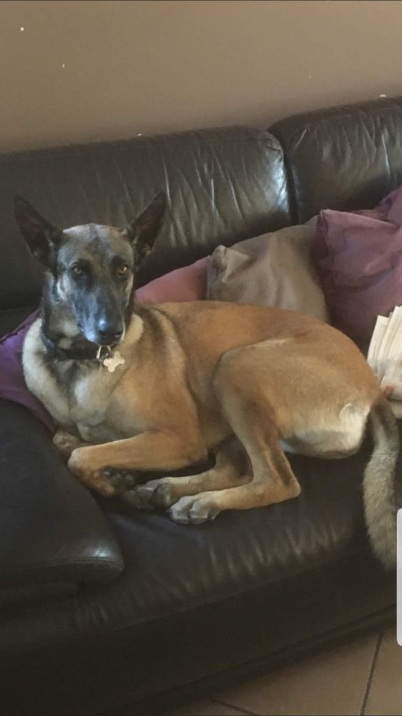 MIA fille de IRLANDE 